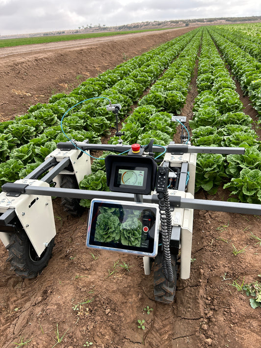 Data acquisition by a lettuce grower